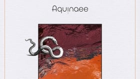 Music Promo: 'Aquinaee - Astarte (Remixes)'