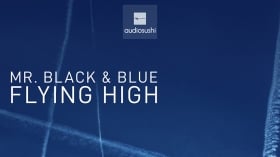 Music Promo: 'Mr. Black & Blue - Flying High'