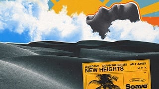 liquidfive x Charming Horses ft. Abi F Jones - New Heights